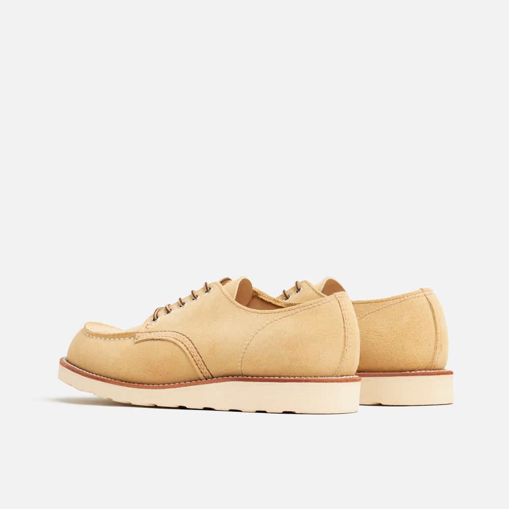 8079 - SHOP MOC OXFORD