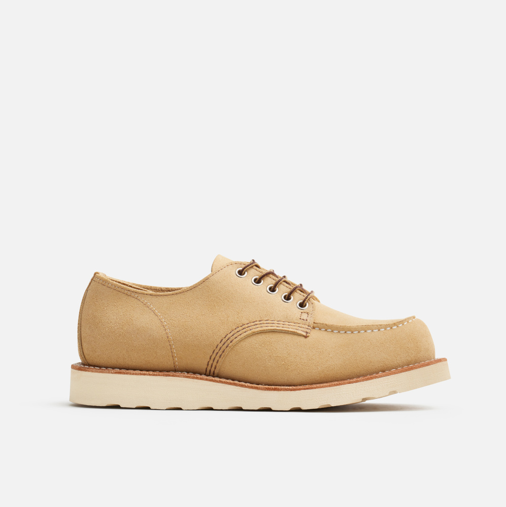 8079 - SHOP MOC OXFORD