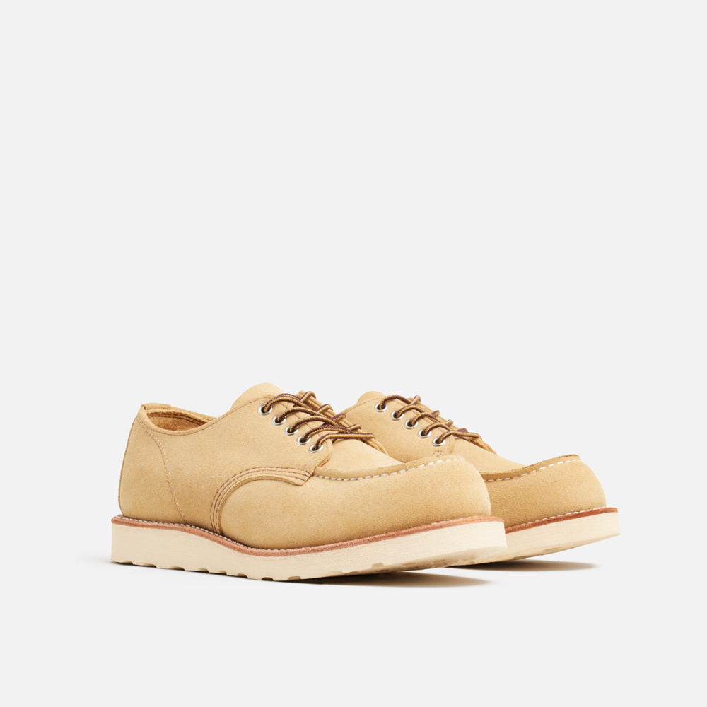 8079 - SHOP MOC OXFORD