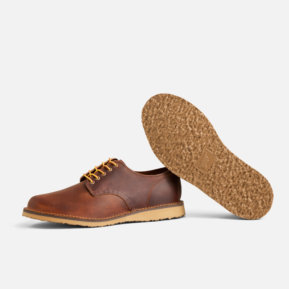3604 - WEEKENDER OXFORD