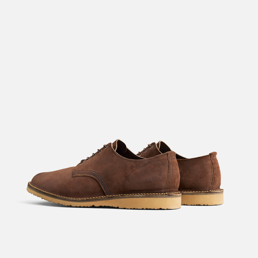 3606 - WEEKENDER OXFORD