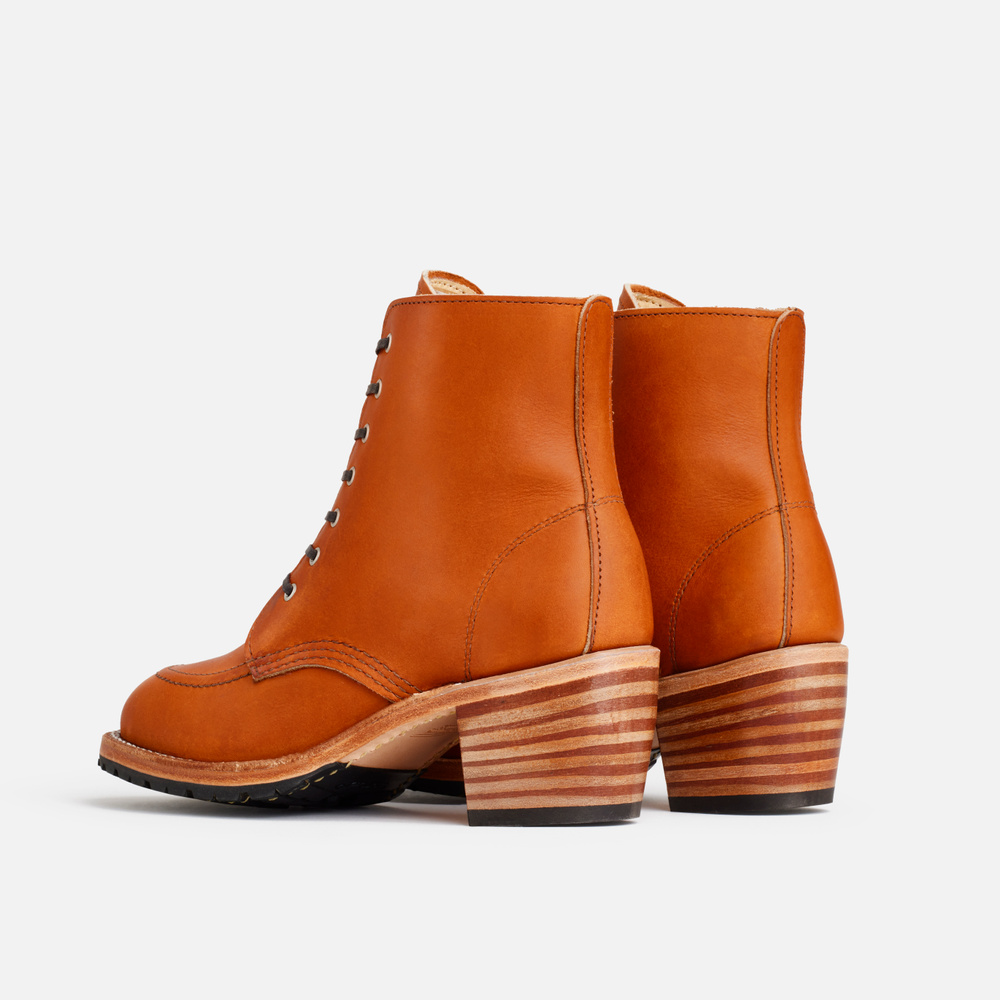 3404 - CLARA