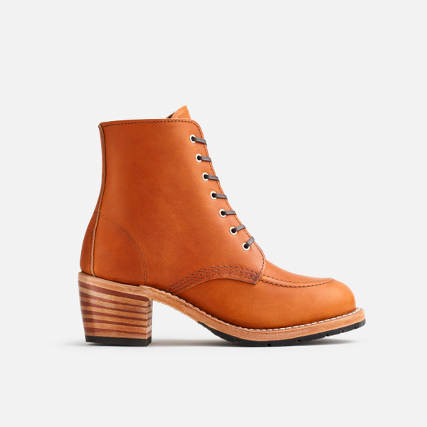 3404 - CLARA