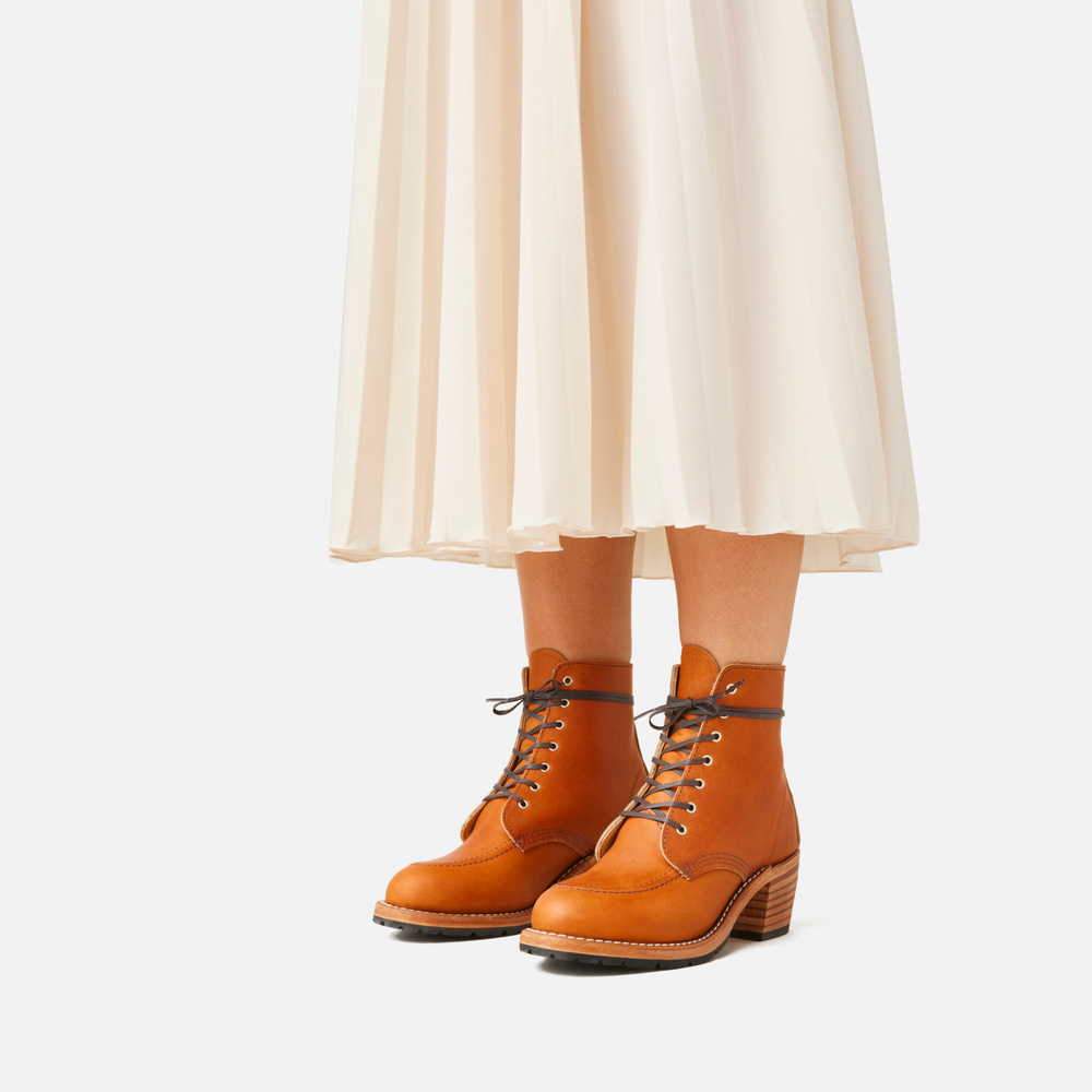 3404 - CLARA